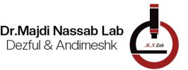 logo-majdinasab-1